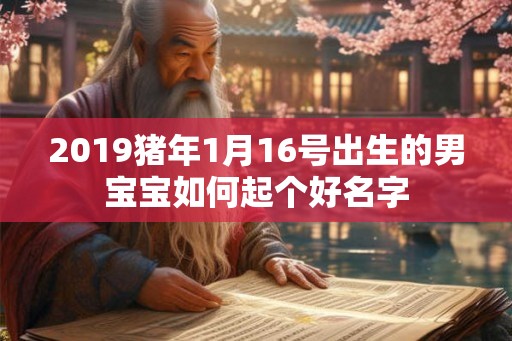 2019猪年1月16号出生的男宝宝如何起个好名字 2019猪年1月16号出生的男宝宝如何起个好名字