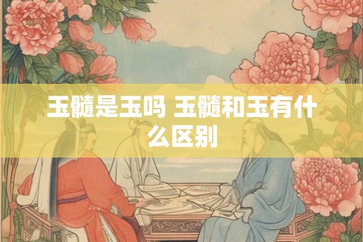 玉髓是玉吗 玉髓和玉有什么区别