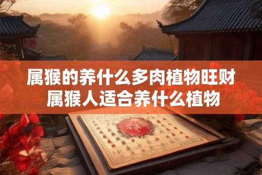 属猴的养什么多肉植物旺财 属猴人适合养什么植物 属猴的养什么多肉植物旺财 属猴人适合养什么植物