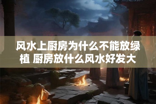 风水上厨房为什么不能放绿植 厨房放什么风水好发大财 风水上厨房为什么不能放绿植 厨房放什么风水好发大财