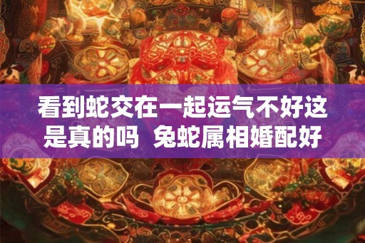 看到蛇交在一起运气不好这是真的吗  兔蛇属相婚配好不好