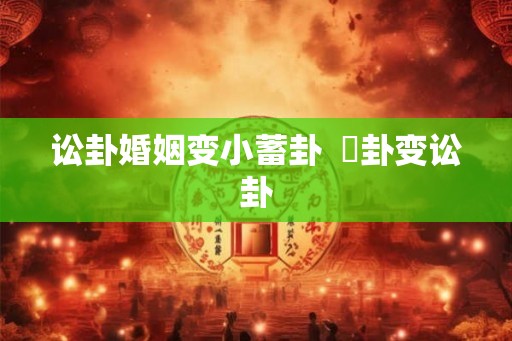 讼卦婚姻变小蓄卦  姤卦变讼卦