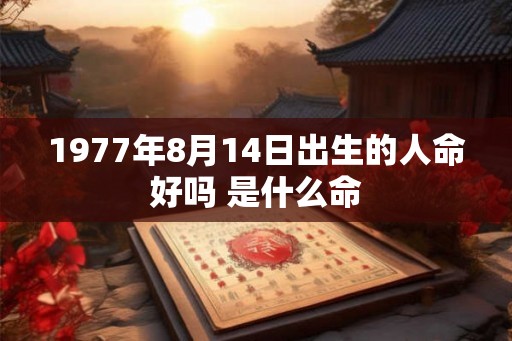1977年8月14日出生的人命好吗 是什么命 1977年8月14日出生的人命好吗 是什么命