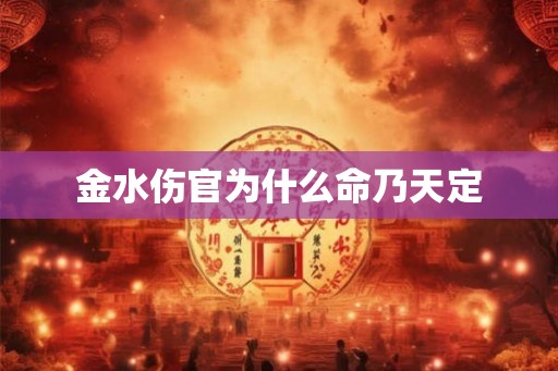 金水伤官为什么命乃天定