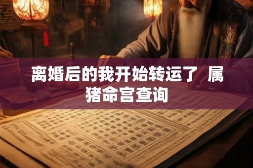 离婚后的我开始转运了  属猪命宫查询