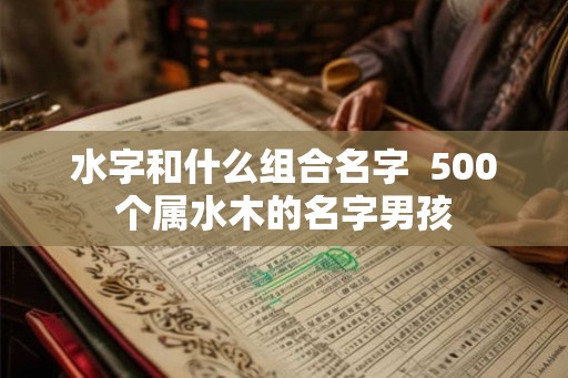 水字和什么组合名字 500个属水木的名字男孩 水字和什么组合名字 500个属水木的名字男孩