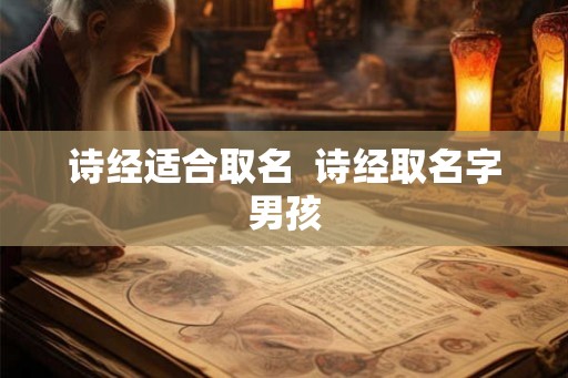 诗经适合取名 诗经取名字男孩 诗经适合取名 诗经取名字男孩