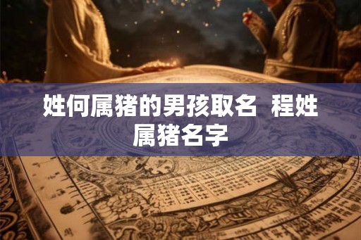 姓何属猪的男孩取名  程姓属猪名字