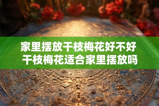 家里摆放干枝梅花好不好 干枝梅花适合家里摆放吗