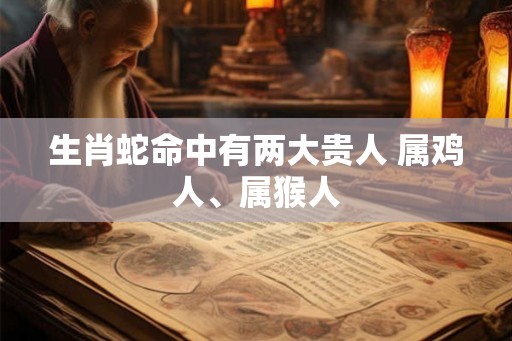 生肖蛇命中有两大贵人 属鸡人、属猴人