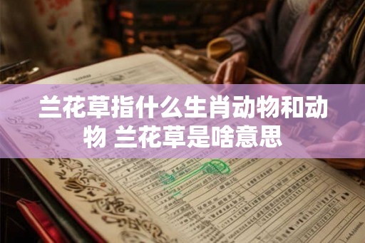 兰花草指什么生肖动物和动物 兰花草是啥意思