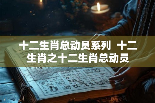 十二生肖总动员系列  十二生肖之十二生肖总动员