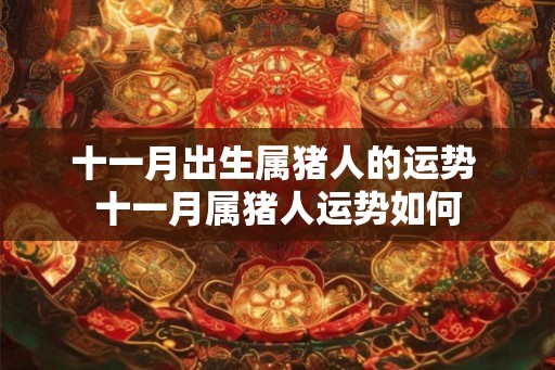 十一月出生属猪人的运势 十一月属猪人运势如何