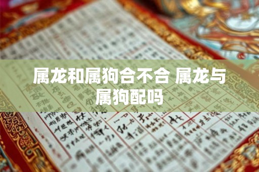 属龙和属狗合不合 属龙与属狗配吗