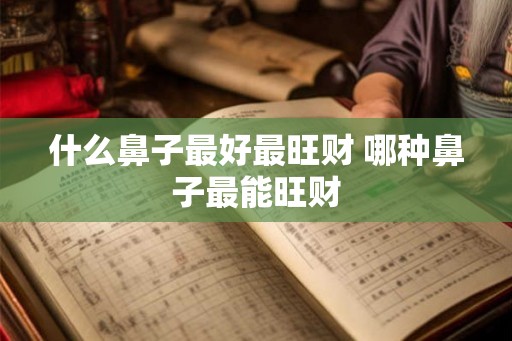 什么鼻子最好最旺财 哪种鼻子最能旺财