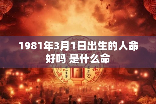 1981年3月1日出生的人命好吗 是什么命