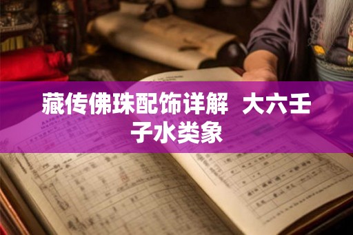 藏传佛珠配饰详解  大六壬子水类象