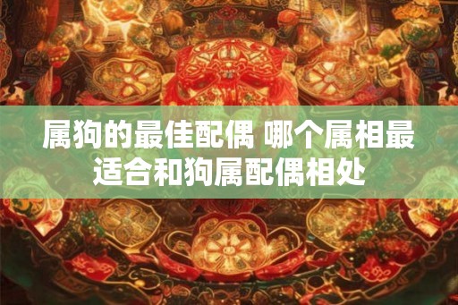 属狗的最佳配偶 哪个属相最适合和狗属配偶相处