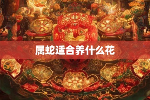 属蛇适合养什么花