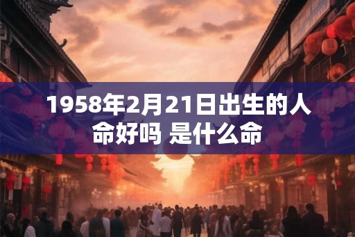 1958年2月21日出生的人命好吗 是什么命