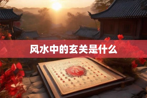 风水中的玄关是什么 风水中的玄关是什么