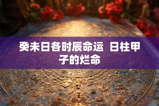 癸未日各时辰命运  日柱甲子的烂命