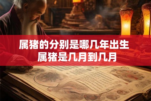 属猪的分别是哪几年出生 属猪是几月到几月 属猪的分别是哪几年出生 属猪是几月到几月