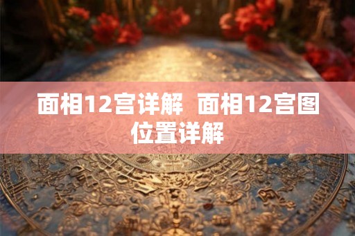 面相12宫详解  面相12宫图位置详解