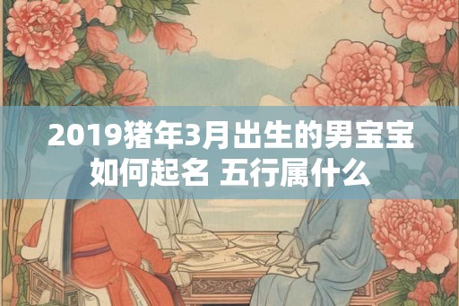 2019猪年3月出生的男宝宝如何起名 五行属什么