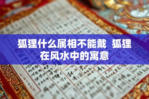 狐狸什么属相不能戴  狐狸在风水中的寓意