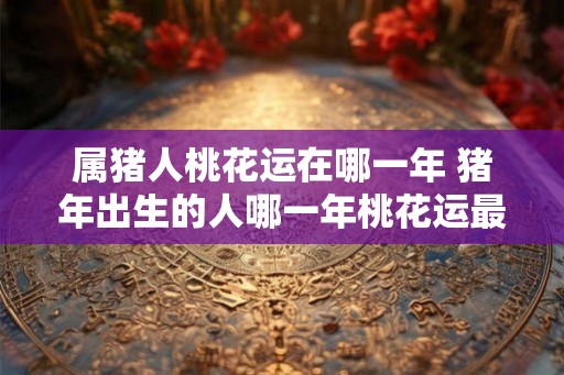 属猪人桃花运在哪一年 猪年出生的人哪一年桃花运最旺