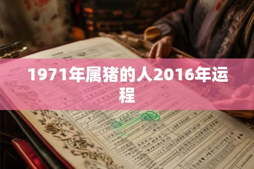 1971年属猪的人2016年运程