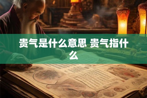 贵气是什么意思 贵气指什么 贵气是什么意思 贵气指什么