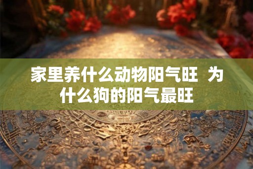 家里养什么动物阳气旺  为什么狗的阳气最旺