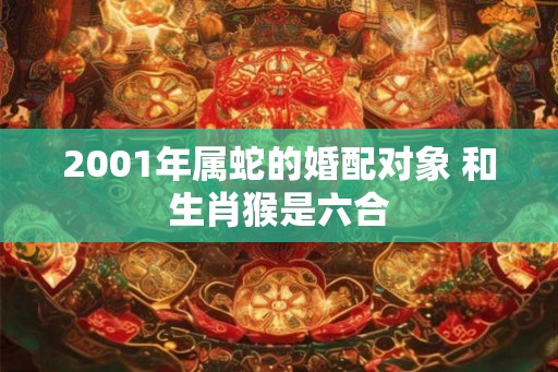 2001年属蛇的婚配对象 和生肖猴是六合
