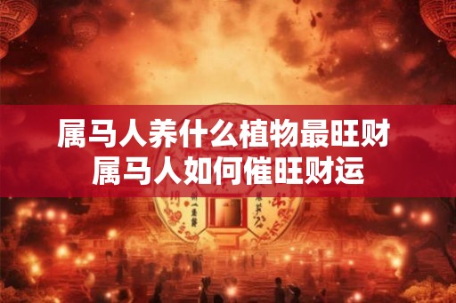 属马人养什么植物最旺财 属马人如何催旺财运 属马人养什么植物最旺财 属马人如何催旺财运