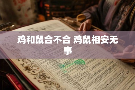 鸡和鼠合不合 鸡鼠相安无事