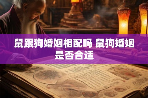 鼠跟狗婚姻相配吗 鼠狗婚姻是否合适