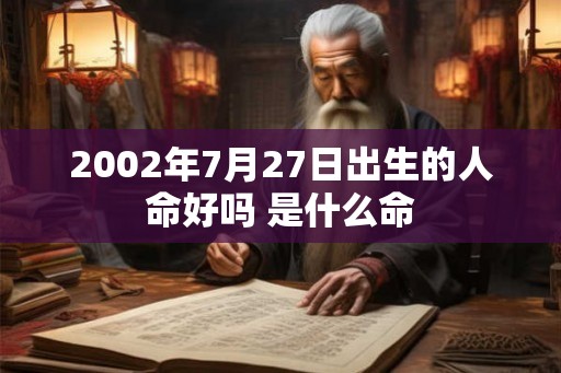 2002年7月27日出生的人命好吗 是什么命