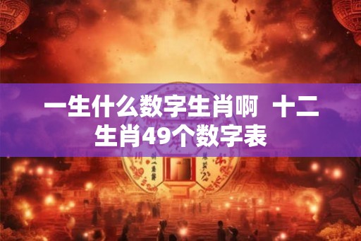 一生什么数字生肖啊  十二生肖49个数字表