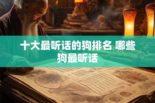 十大最听话的狗排名 哪些狗最听话 十大最听话的狗排名 哪些狗最听话
