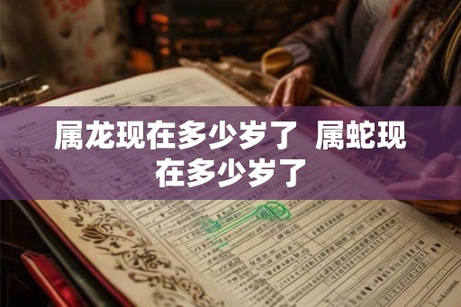 属龙现在多少岁了  属蛇现在多少岁了