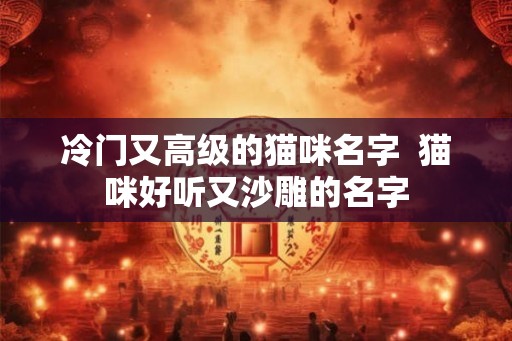 冷门又高级的猫咪名字  猫咪好听又沙雕的名字