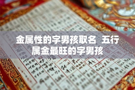 金属性的字男孩取名  五行属金最旺的字男孩
