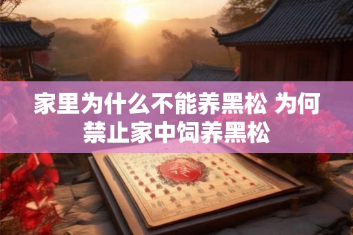 家里为什么不能养黑松 为何禁止家中饲养黑松 家里为什么不能养黑松 为何禁止家中饲养黑松