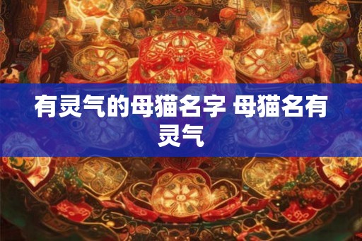 有灵气的母猫名字 母猫名有灵气