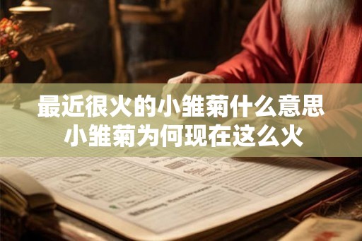 最近很火的小雏菊什么意思 小雏菊为何现在这么火