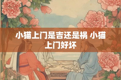 小猫上门是吉还是祸 小猫上门好坏