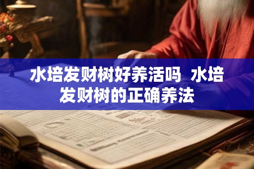 水培发财树好养活吗  水培发财树的正确养法