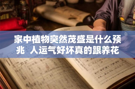 家中植物突然茂盛是什么预兆 人运气好坏真的跟养花有关吗 家中植物突然茂盛是什么预兆 人运气好坏真的跟养花有关吗